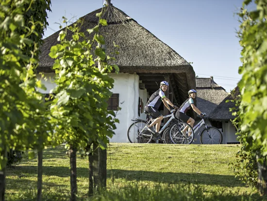 Moški in ženska v kolesarskih oblačilih kolesarita med vinogradniškimi griči na Goričkem