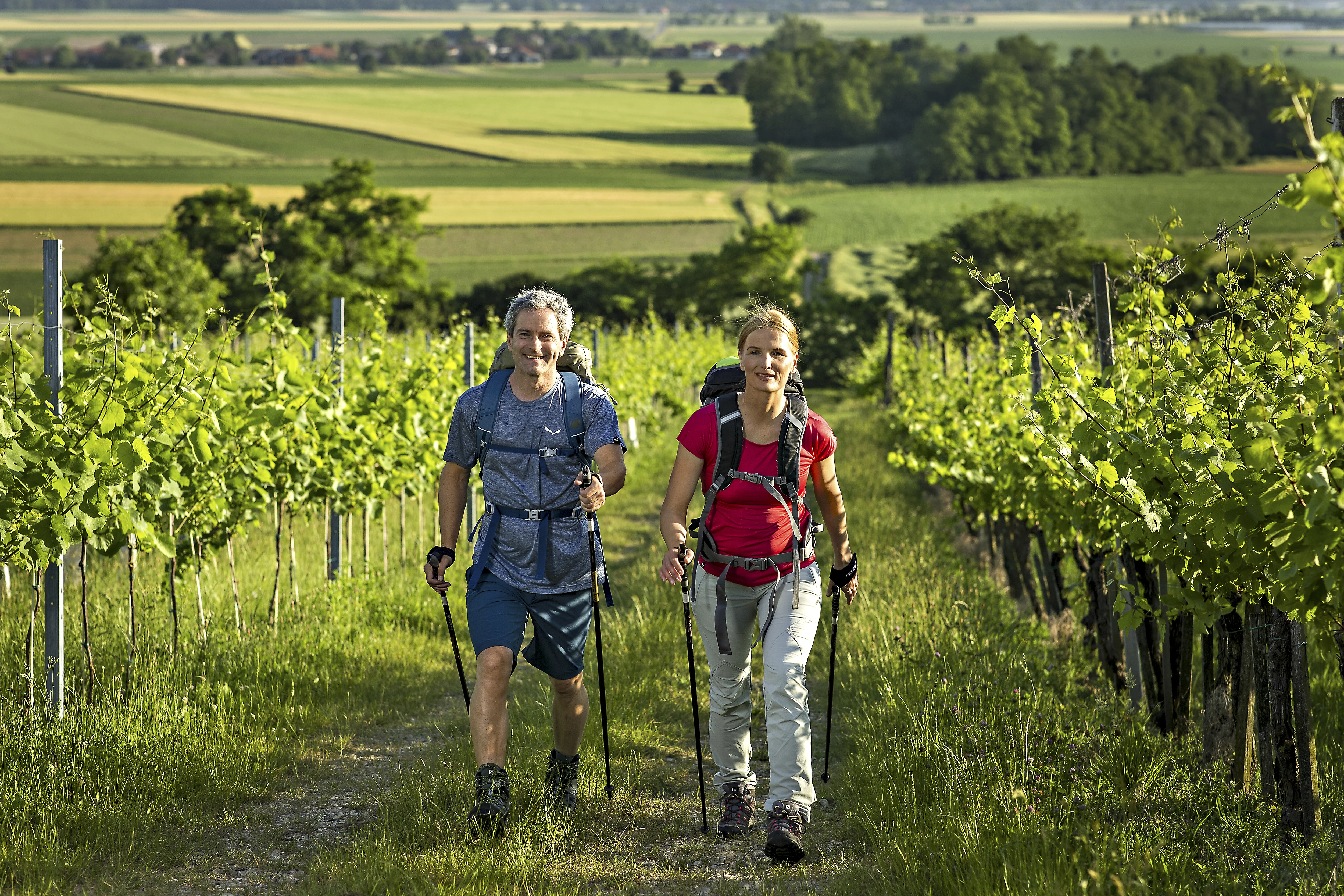 Pohodnik in pohodnica v pohodniški opremi nasmejana hodita med zelenimi vinogradniškimi griči