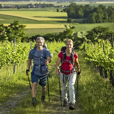 Pohodnik in pohodnica v pohodniški opremi nasmejana hodita med zelenimi vinogradniškimi griči