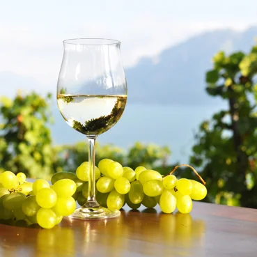 Weinsorten der slowenischen Küste