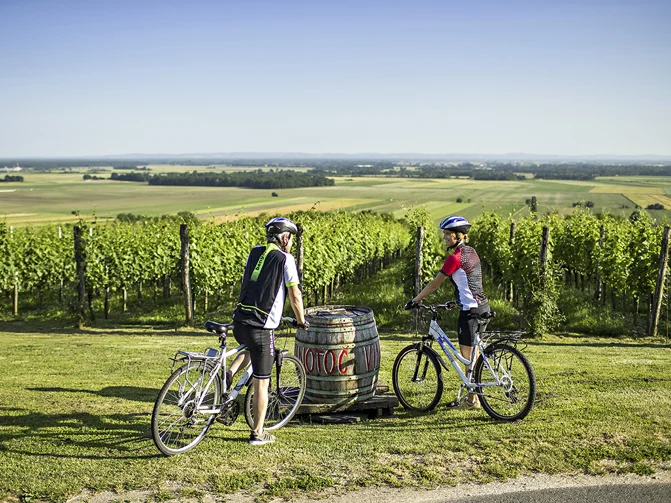 Kolesar in kolesarka v kolesarski opremi stojita na kolesu ob sodu in opazujeta okoliški vinograd