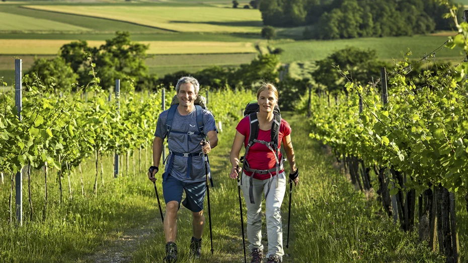 Pohodnik in pohodnica v pohodniški opremi hodita med zelenimi vinogradi