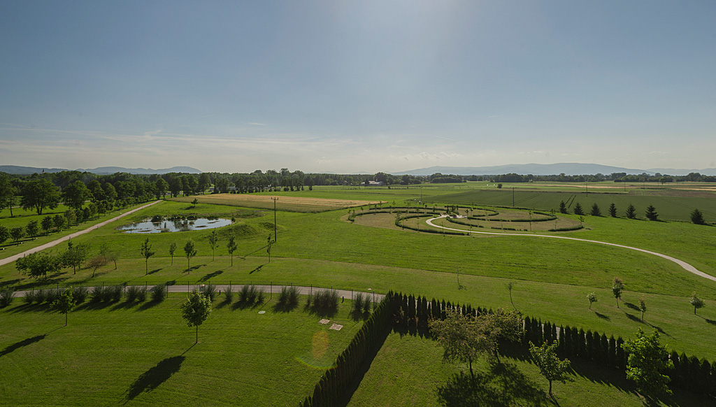 Zelena oaza dreves in ravne travnate površine