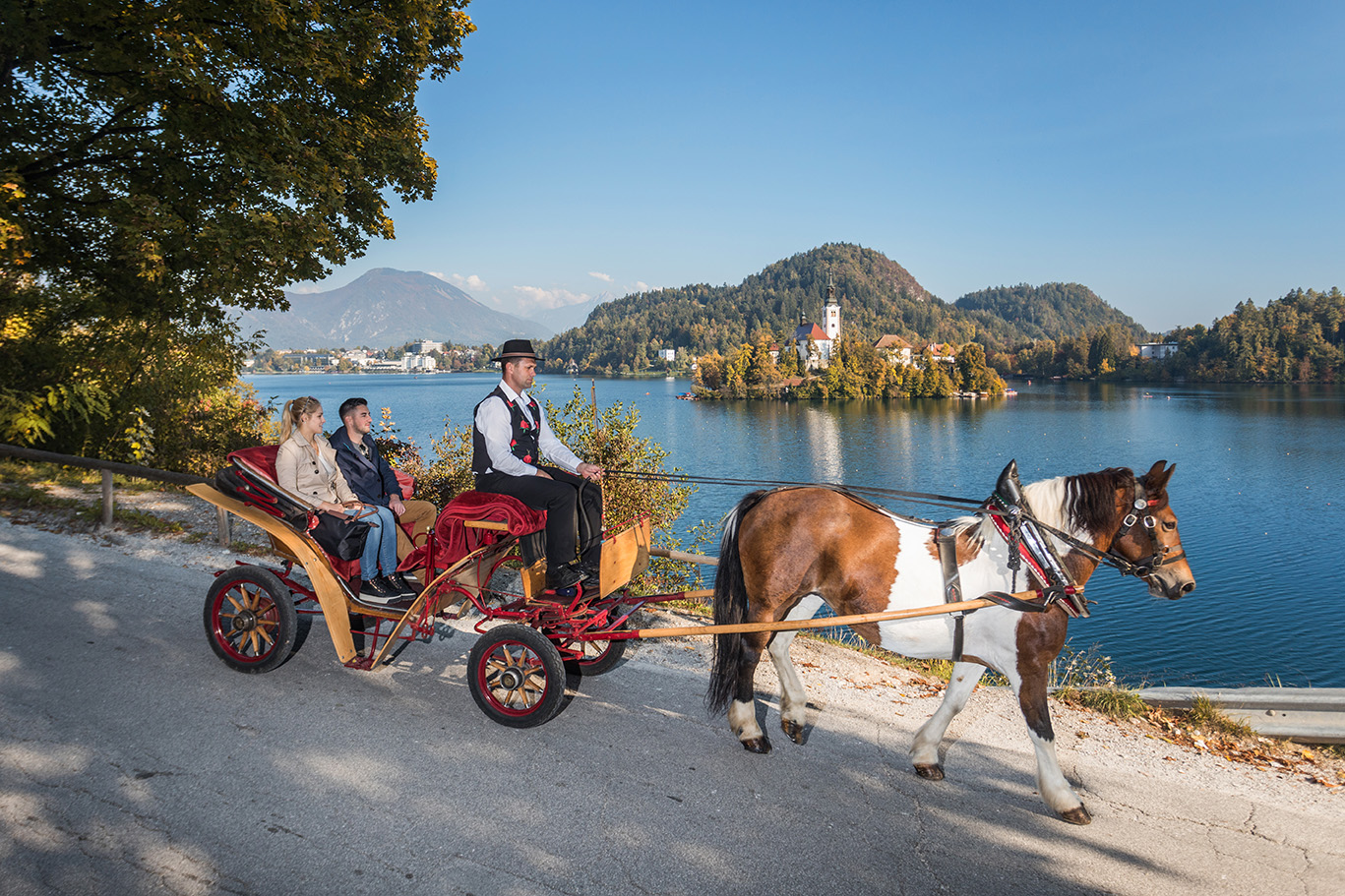 A carriage ride around the lake