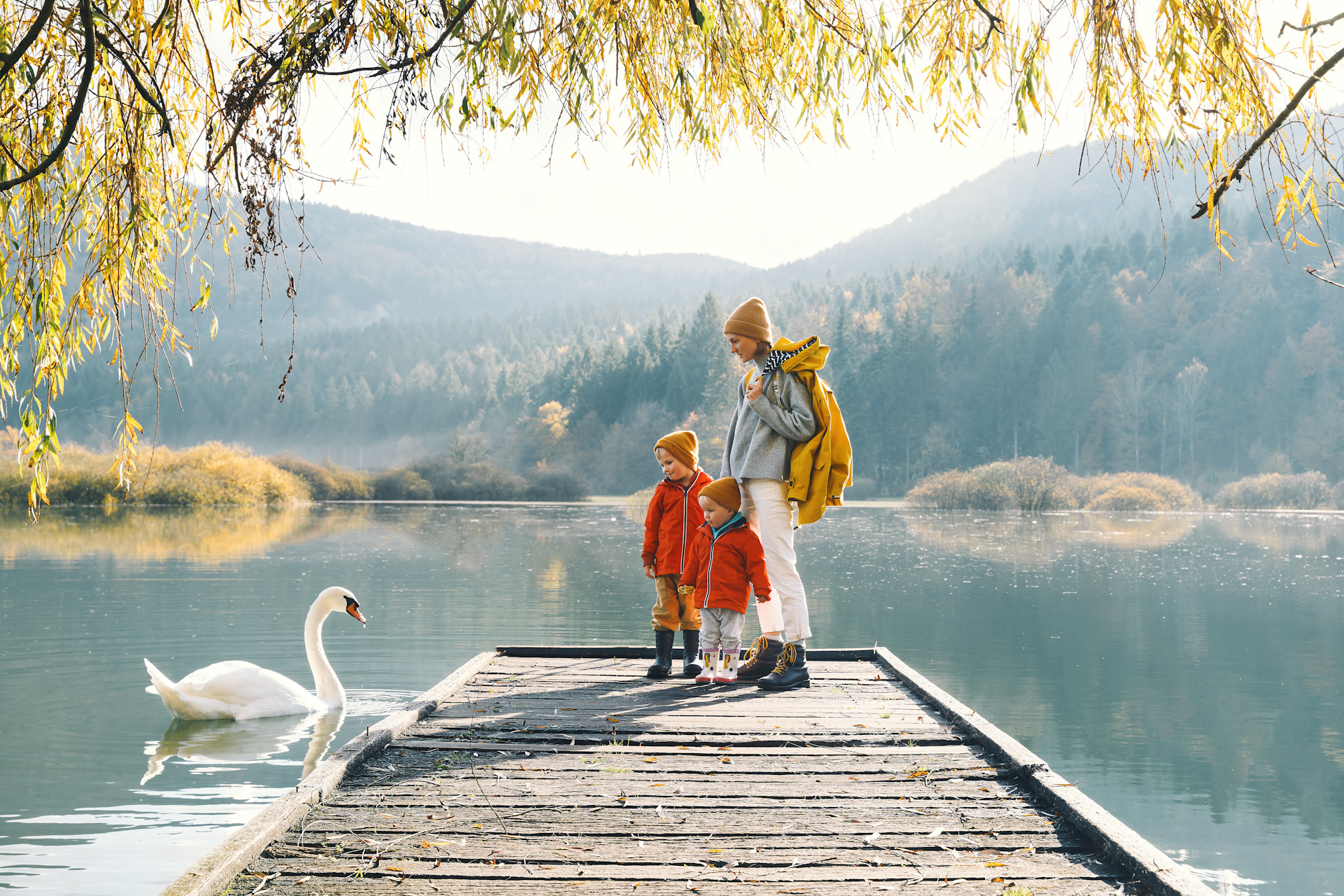 A walk around the lake