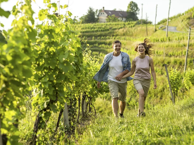 Moški in ženska se nasmejano držita za roke in sprehajata med vinogradi