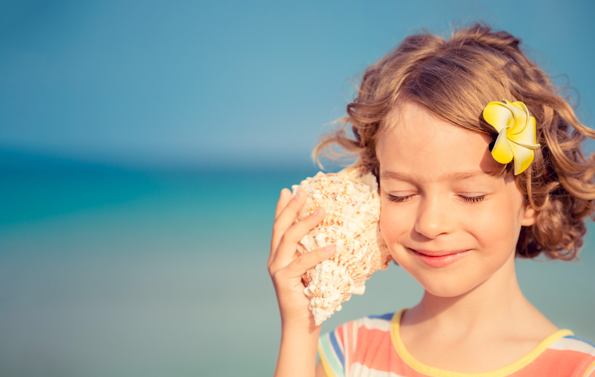 Pokopališče školjk, Ankaran